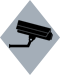 Surveillance Systems Icon